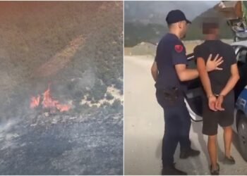 Ndezi zjarr në fshatin Tërbaç dhe flakët u përhapën edhe në Vranisht, arrestohet 25-vjeçari Aderjan Bojkoj