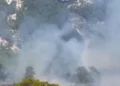 Flakët rikthehen në Mallakastër, era përhap zjarrin në Drenie