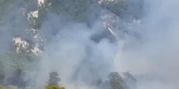 Flakët rikthehen në Mallakastër, era përhap zjarrin në Drenie