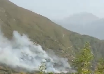 Zjarr në Malësinë e Krujës, flakët përhapen me shpejtësi, kërkohet ndërhyrje nga ajri