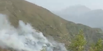Zjarr në Malësinë e Krujës, flakët përhapen me shpejtësi, kërkohet ndërhyrje nga ajri