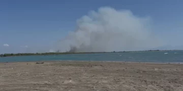 Zjarr i madh në pyllin me pisha në zonën e Pishporos, flakët përhapen në sipërfaqen e pyllëzua