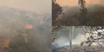 Zjarr prej 3 ditësh në malin e Tërbunit, mungon ndërhyrja nga ajri