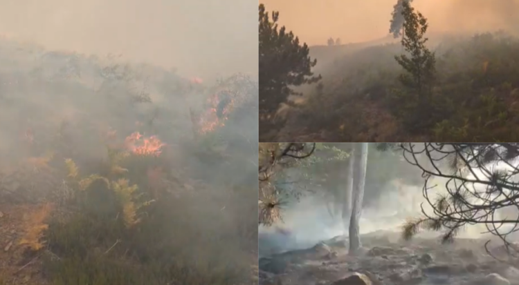 Zjarr prej 3 ditësh në malin e Tërbunit, mungon ndërhyrja nga ajri