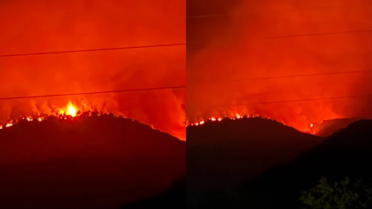 Zjarri përfshin dhjetëra hektarë pyje në Pukë, flakët kërcënojnë banesat e fshatit Gojan i Vogël