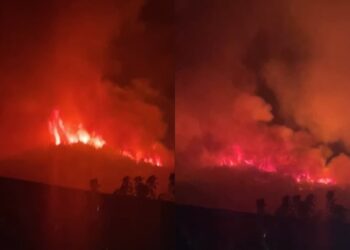 Situatë kritike në Gojan të Pukës, zjarri përpin malin dhe kërcënon fshatrat