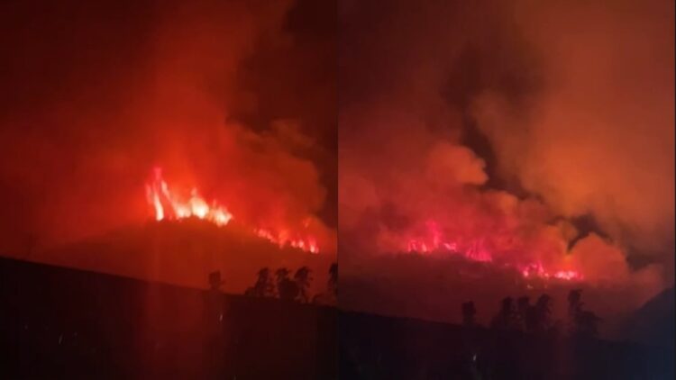 Situatë kritike në Gojan të Pukës, zjarri përpin malin dhe kërcënon fshatrat