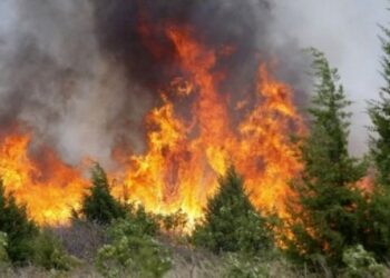 Zjarret në Shqipëri: Ja sa vatra aktive ka në të gjithë vendin
