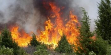 Zjarret në Shqipëri: Ja sa vatra aktive ka në të gjithë vendin