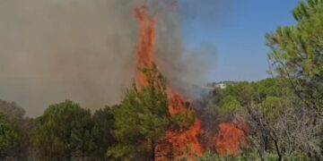 Zjarret nuk ndalen/ Flakët vijojnë të shkrumbojnë në Lurë, Dajt, Patos, Përmet dhe Devoll