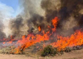 Shqipëria vijon të digjet/ Ja ku janë vatrat më aktive, zjarrfikësit në ‘luftë’ me flakët
