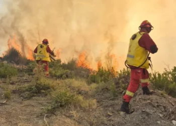 Situata me zjarret në Shqipëri/ 43 vatra në 24 orë, 10 ende aktive