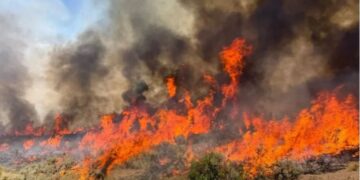 Shqipëria vijon të digjet/ Ja ku janë vatrat më aktive, zjarrfikësit në ‘luftë’ me flakët