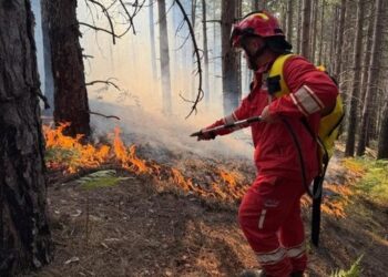 Situata me zjarret/ Ministria e Mbrojtjes: 4 vatra janë aktive, 2 nën monitorim