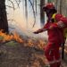 Situata me zjarret/ Ministria e Mbrojtjes: 4 vatra janë aktive, 2 nën monitorim