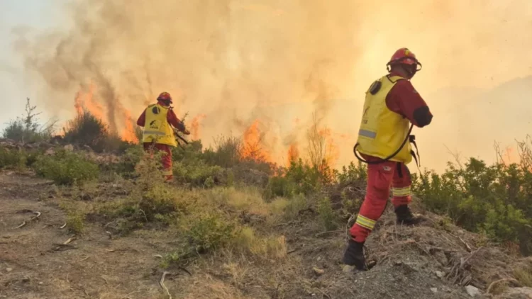 Situata me zjarret në Shqipëri/ 43 vatra në 24 orë, 10 ende aktive