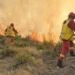 Situata me zjarret në Shqipëri/ 43 vatra në 24 orë, 10 ende aktive