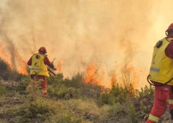 Bilanci i zjarreve në Shqipëri: Pesë vatra ende aktive, mbi 34 hektarë të djegur
