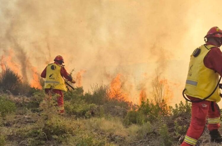 Bilanci i zjarreve në Shqipëri: Pesë vatra ende aktive, mbi 34 hektarë të djegur