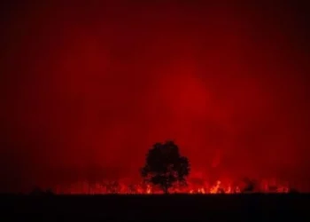 Mbrojtja Civile: 25 vatra zjarri në 24 orë, 9 prej tyre mbeten aktive