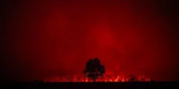 Mbrojtja Civile: 25 vatra zjarri në 24 orë, 9 prej tyre mbeten aktive