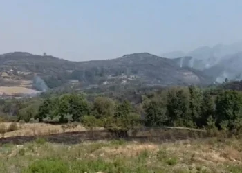 Nga zjarri në Priskë, ndërpritet energjia elektrike dhe furnizimi me ujë për zonën Lundrës