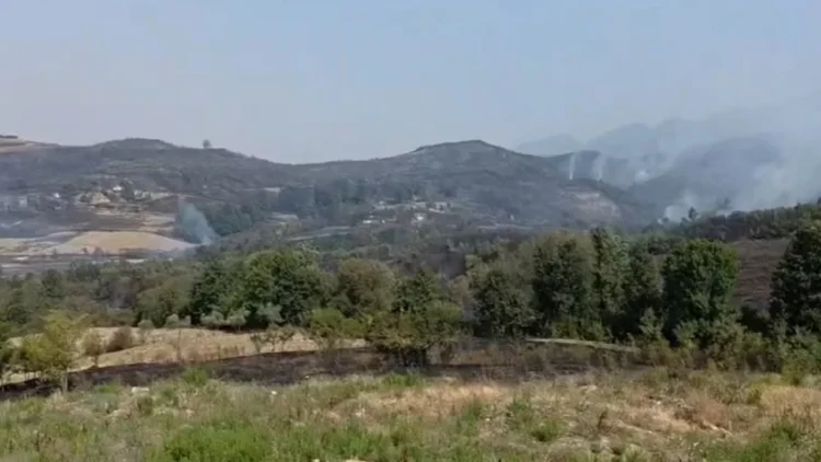 Nga zjarri në Priskë, ndërpritet energjia elektrike dhe furnizimi me ujë për zonën Lundrës