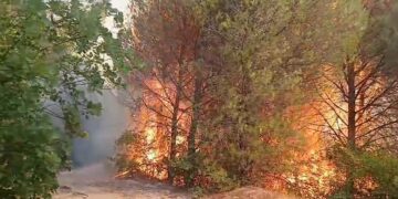 Mbrojtja Civile: 35 vatra zjarri në 24 orë, 8 ende aktive, vijojnë operacionet në Tiranë, Krujë dhe Dibër