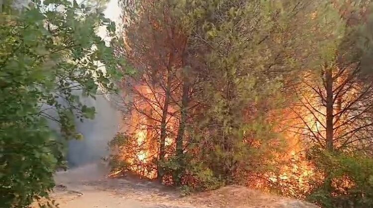 Mbrojtja Civile: 35 vatra zjarri në 24 orë, 8 ende aktive, vijojnë operacionet në Tiranë, Krujë dhe Dibër