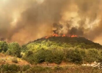 Zjarri masiv në 6 fshatrat e Fierit, Haki Çako ‘zbarkon’ në Levan: Duket se është zjarrvënie e qëllimshme