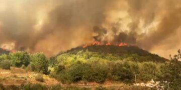 Zjarri masiv në 6 fshatrat e Fierit, Haki Çako ‘zbarkon’ në Levan: Duket se është zjarrvënie e qëllimshme