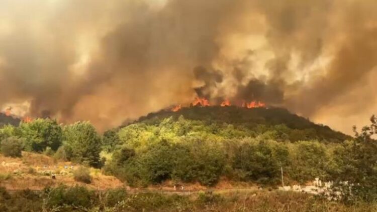 Zjarri masiv në 6 fshatrat e Fierit, Haki Çako ‘zbarkon’ në Levan: Duket se është zjarrvënie e qëllimshme