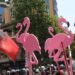 Gazeta gjermane: Jo vetëm në Tiranë! Shqiptarët mblidhen në Frankfurt për “Revolucionin Flamingo”