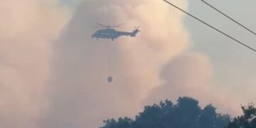 Fieri po digjet/ Zjarri në Peshtan të Vogël djeg ullishtet dhe rrezikon banesat, evakuohen banorët