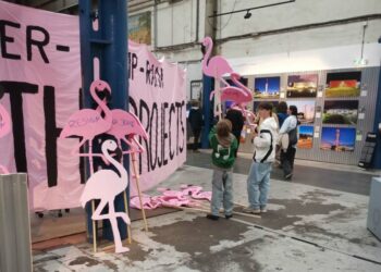 Flamingo në Bienalen Ndërkombëtare të Roterdamit