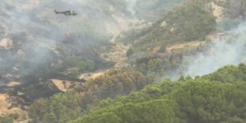 Zjarr i madh tek pylli me pisha, ndërhyrje nga ajri në Cërrilë të Mallakastrës