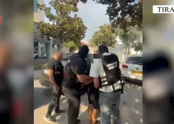 Porositi 4.6 kg kanabis nga SHBA për t’i shitur në Tiranë, arrestohet 20-vjeçari