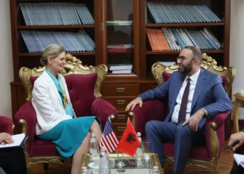 Bardhi takohet me VanHorn në Kryesinë e Kuvendit: SHBA mbete aleat i çmuar dhe strategjik i Shqipërisë