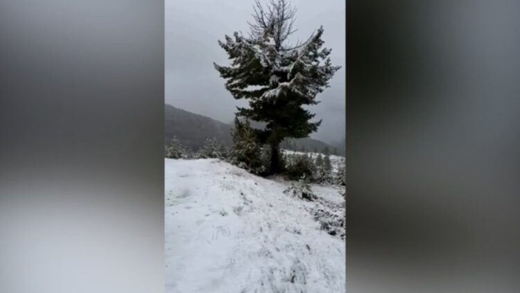 Bora mbërrin që në shtator në Shqipëri, zbardhen bjeshkët e Tropojës