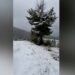 Bora mbërrin që në shtator në Shqipëri, zbardhen bjeshkët e Tropojës