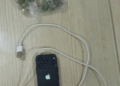 Kontroll në IEVP Shkodër/ Sekuestrohet një aparat celular dhe një sasi kanabisi, procedohen dy punonjës policie