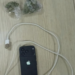 Kontroll në IEVP Shkodër/ Sekuestrohet një aparat celular dhe një sasi kanabisi, procedohen dy punonjës policie