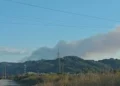 Zjarri masiv në kodrat me ullishte në Kreshpan të Fierit, banorët: Mund të jetë i qëllimshëm