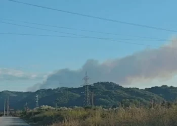 Zjarri masiv në kodrat me ullishte në Kreshpan të Fierit, banorët: Mund të jetë i qëllimshëm