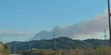 Zjarri masiv në kodrat me ullishte në Kreshpan të Fierit, banorët: Mund të jetë i qëllimshëm