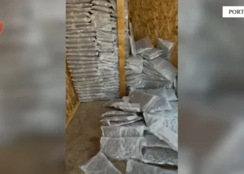 Droge nga Kanadaja në Shqipëri, kapet në Durrës “Gelato” me vlerë 1.2 milionë euro