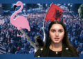 ‘Do ndalojmë vetëm kur të ikë Rama!’ Media gjermane: ‘Flamingot e Frankfurtit’ protestojnë prej 4 muajsh