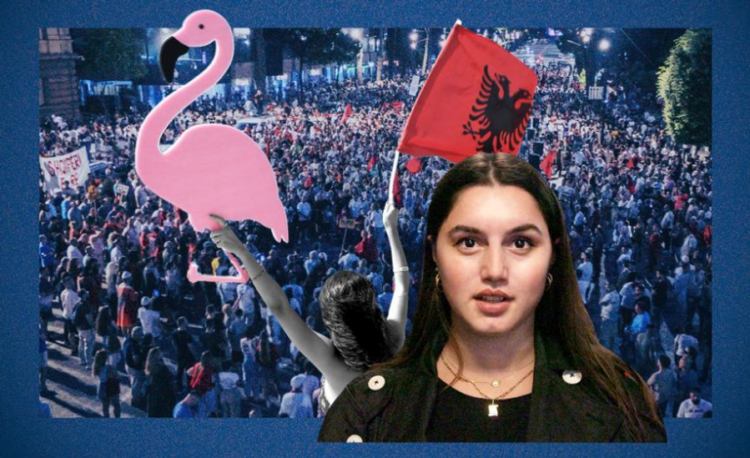 ‘Do ndalojmë vetëm kur të ikë Rama!’ Media gjermane: ‘Flamingot e Frankfurtit’ protestojnë prej 4 muajsh