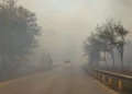 Zjarri në Qafën e Koshovicës, bllokohet qarkullimi në aksin Fier-Levan