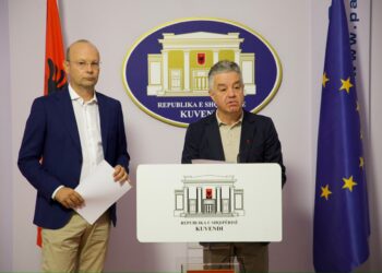 Demokratët propozojnë paketë ligjore: Gjurmim dhe kontroll për çdo pasuri publike